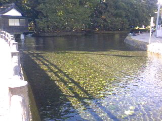 a0103293_20302483.jpg