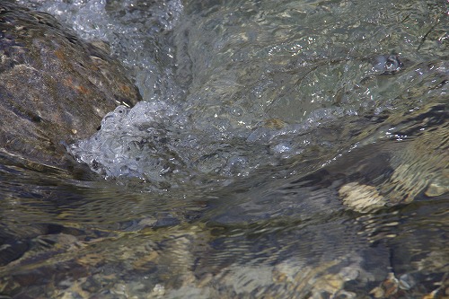 b0119493_0145100.jpg
