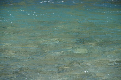 b0119493_072525.jpg