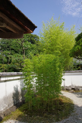 b0119493_23314251.jpg