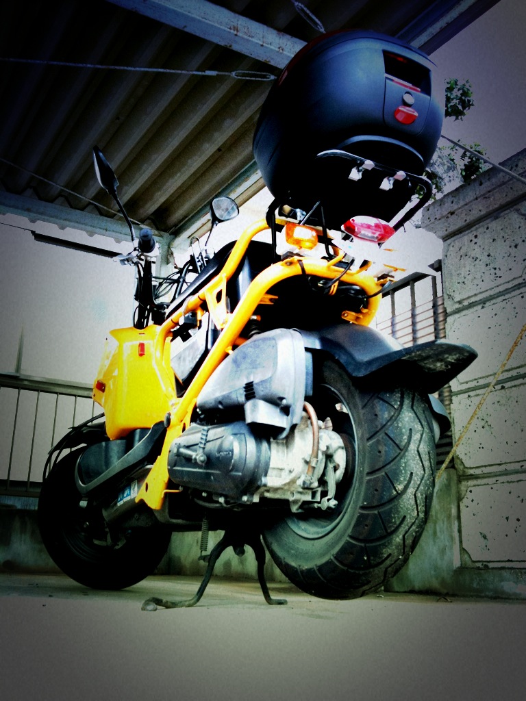 c0060593_1739447.jpg