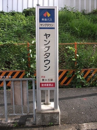 f0097493_255876.jpg