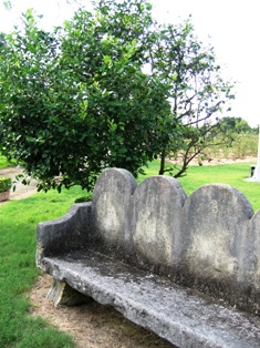 f0212993_21292210.jpg