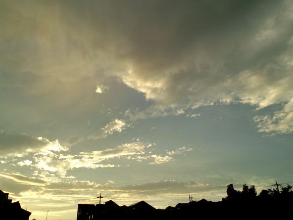 d0135694_1425750.jpg