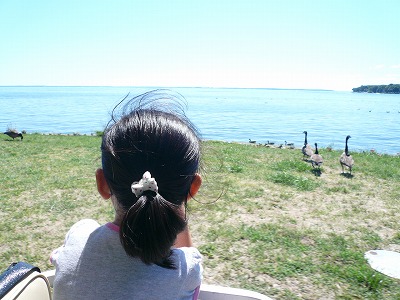 f0199394_552156.jpg