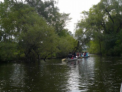 f0199394_6373134.jpg