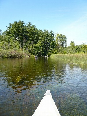 f0199394_644248.jpg