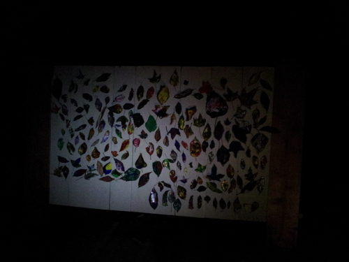 Mountain Mind Camp in 生駒山麓公園_e0111396_18471914.jpg