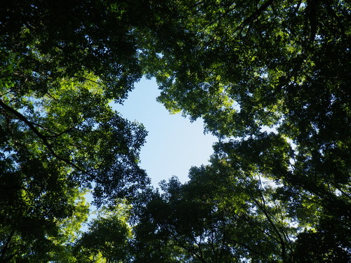 Mountain Mind Camp in 生駒山麓公園_e0111396_18531054.jpg
