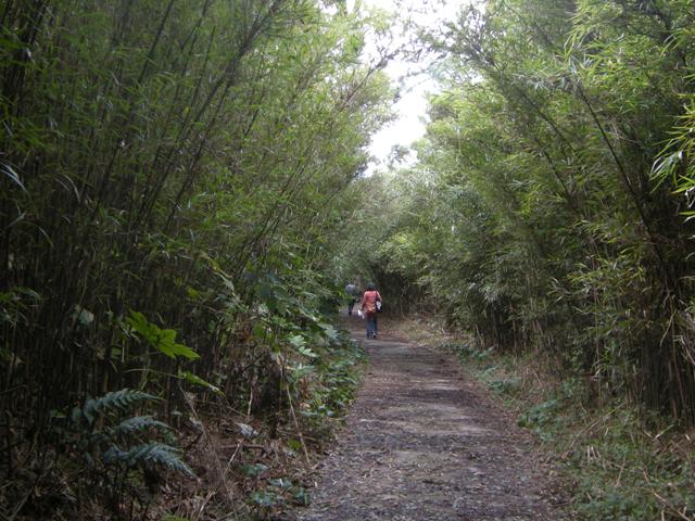 b0138798_025234.jpg