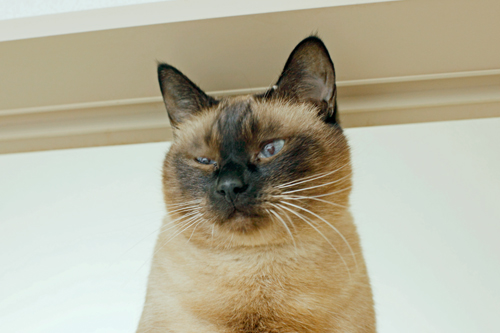 f0003598_1337358.jpg