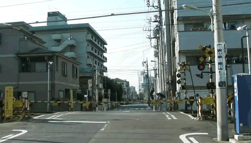 c0072801_015555.gif