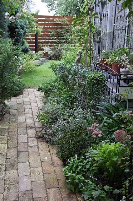 a0123003_819960.jpg