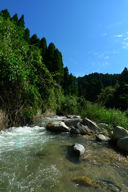 a0097006_21134730.jpg
