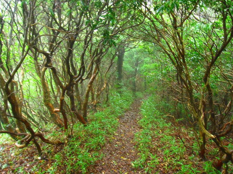 梶ヶ森　龍王の滝　周遊_b0124306_23123699.jpg