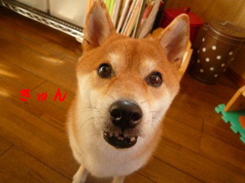 e0131506_12511061.jpg