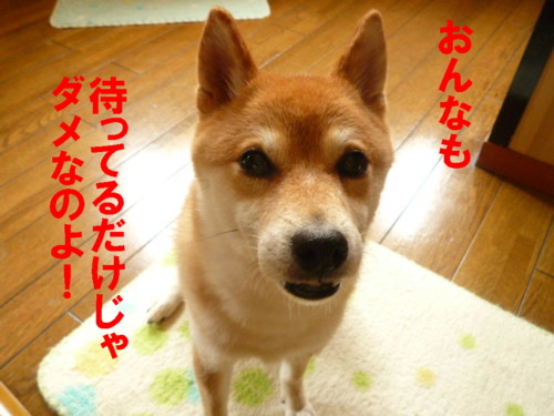 e0131506_13304573.jpg