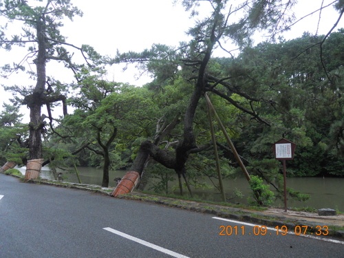 出雲路 なんとなくダイジェスト_a0194908_14563817.jpg