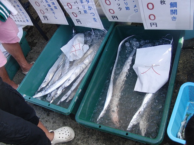 このプルプルの食感がたまらない！　田子の浦漁協「しらす祭り」_f0141310_7261194.jpg