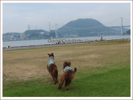 c0017311_1418932.gif