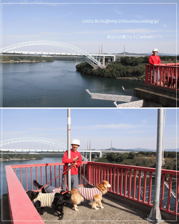 c0017311_941211.gif