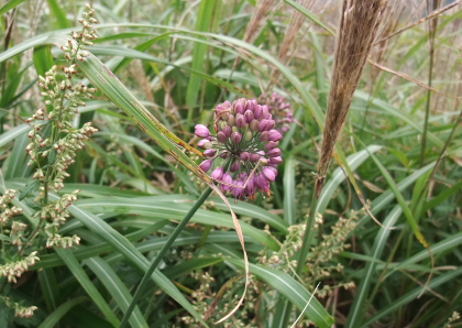 f0218012_21263265.jpg
