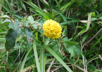 f0218012_2127373.jpg