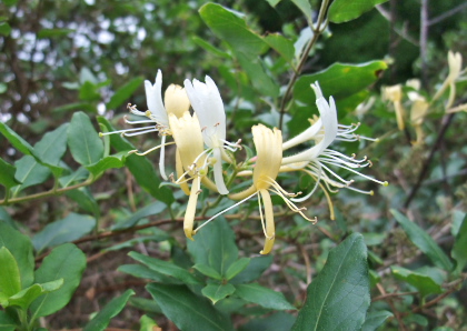 f0218012_2129324.jpg