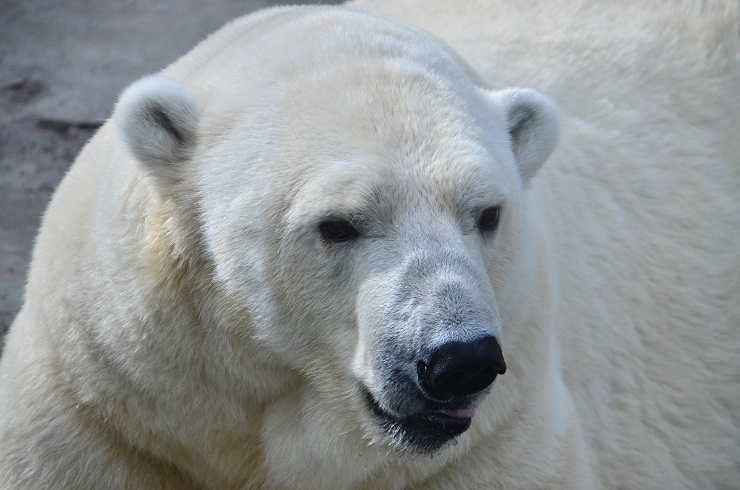 a0151913_1493542.jpg
