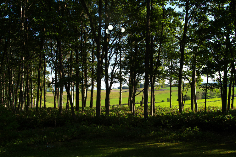 c0033513_2101326.jpg