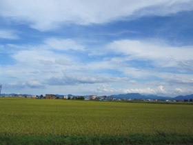 f0223313_8504968.jpg