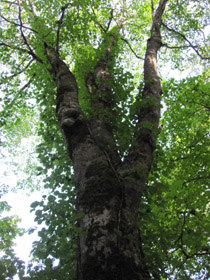 f0223313_858268.jpg