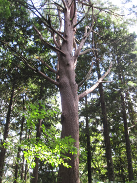 f0223313_9101199.jpg
