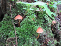 f0223313_910538.jpg