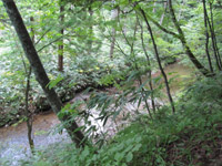 f0223313_9124596.jpg
