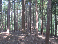 f0223313_923438.jpg