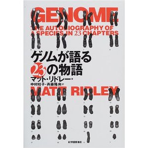 謎の遺跡「ウィングメーカー」とは何か?6:ネルダ博士インタビュー_e0171614_12573382.jpg