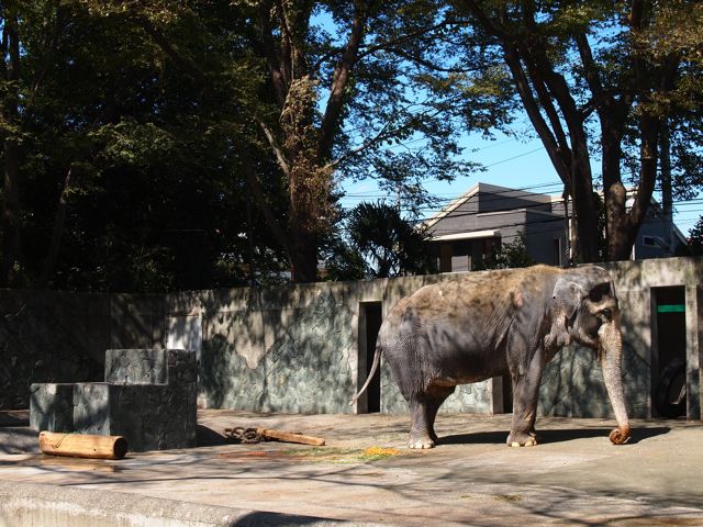 a0151615_14442664.jpg