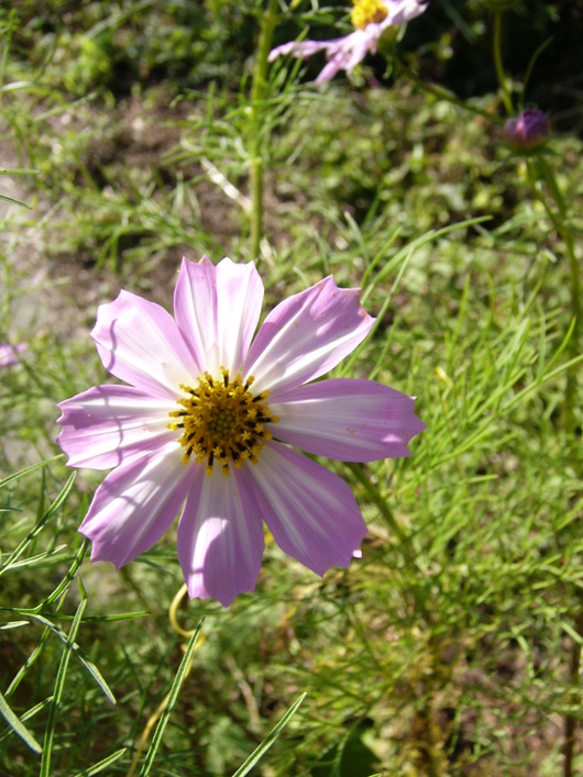 d0183417_23272241.jpg