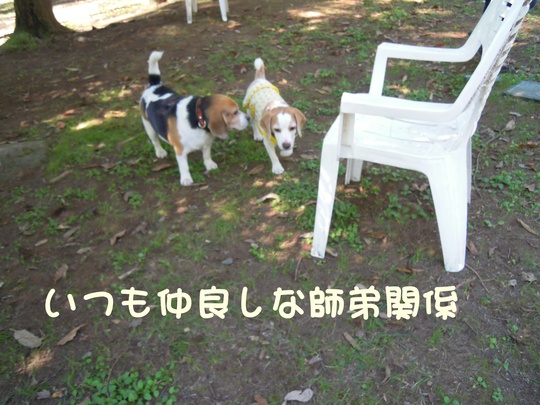 c0166622_7531339.jpg