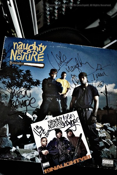 Naughty By Nature The 20th Anniversary Tour_c0199623_932093.jpg