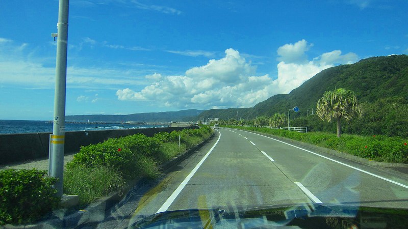 a0132631_10660.jpg