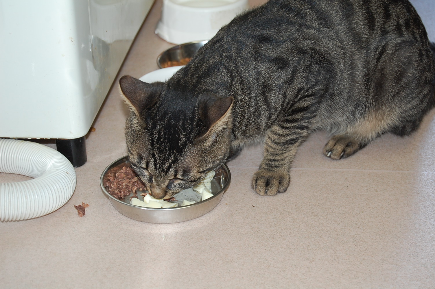 2011/9/26 タマのタマ_f0211133_11544653.jpg