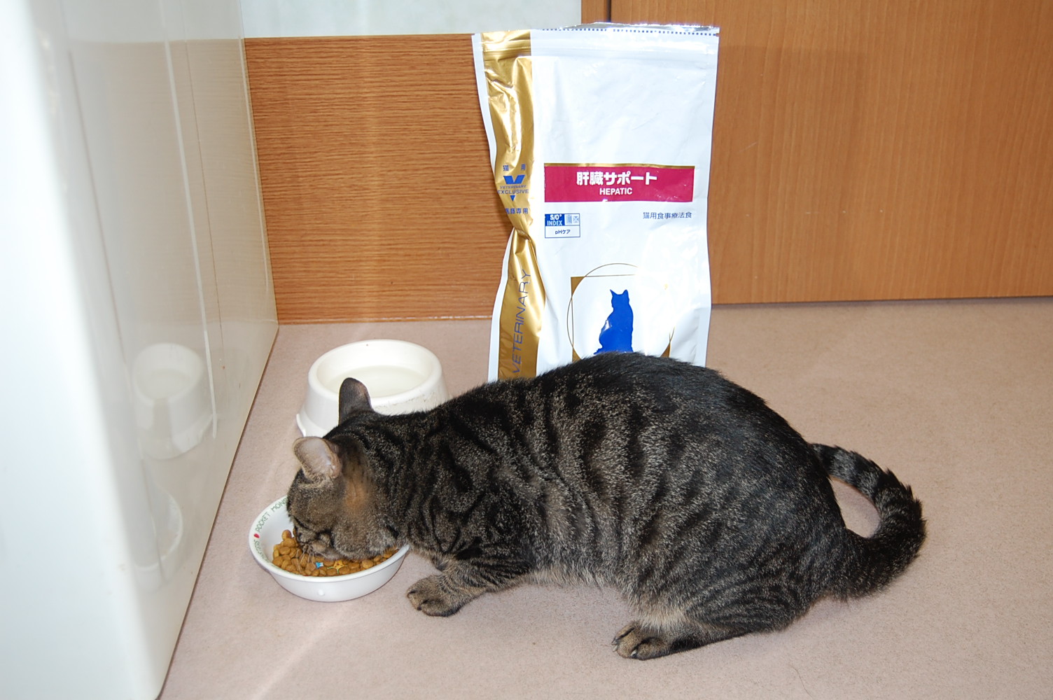 2011/9/26 タマのタマ_f0211133_1281173.jpg