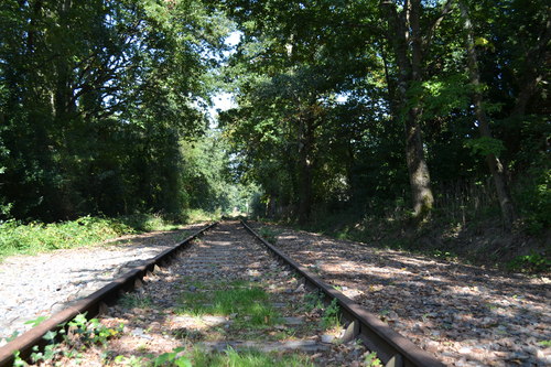 e0194142_1331257.jpg