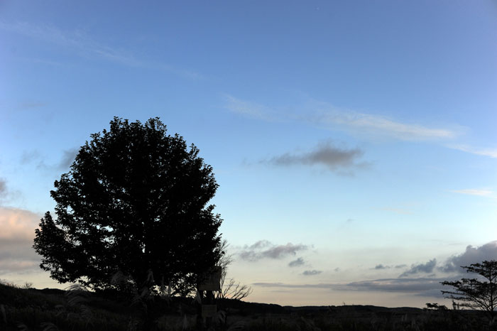 b0067346_0343331.jpg