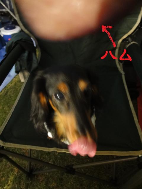 e0169149_22153369.jpg