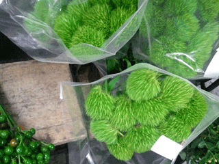 b0151059_202339.gif