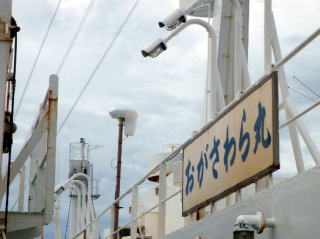 6月 小笠原・母島遠征！！_a0239865_20201690.jpg