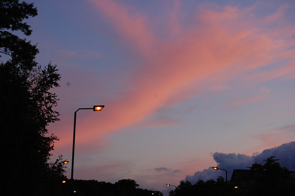 e0120466_1141785.jpg